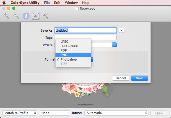 5 Ways To Convert Psd To Png On Mac And Windows With Transparency Itselectable