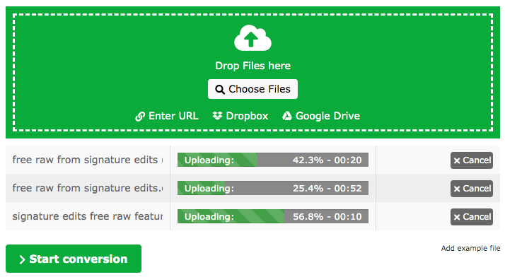 batch convert raw to jpeg free