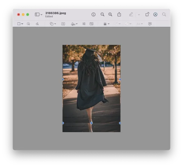 add image to pdf preview 2