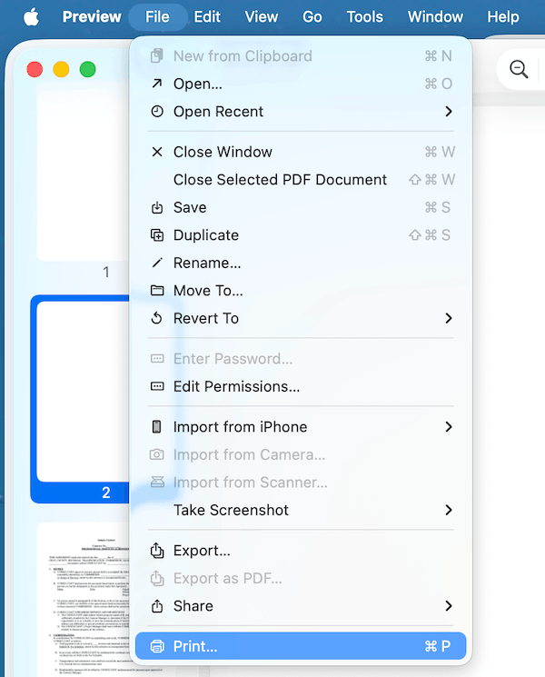 save pdf preview 2