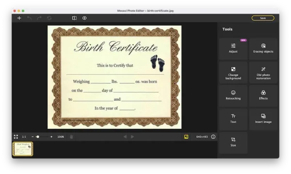 edit certificate movavi 1