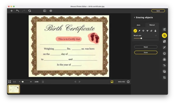 edit certificate movavi 2