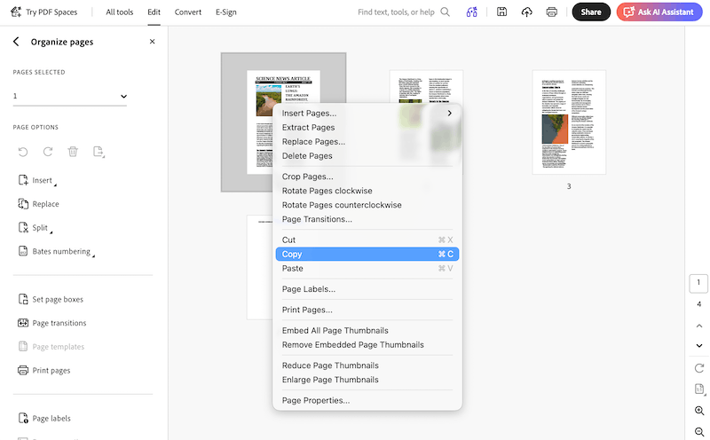 duplicate page pdf adobe 2