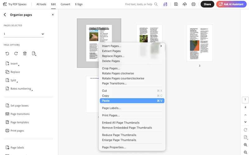 duplicate page pdf adobe 3