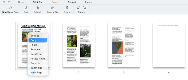 duplicate page pdf free 2