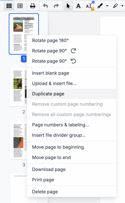 duplicate page pdf online 2