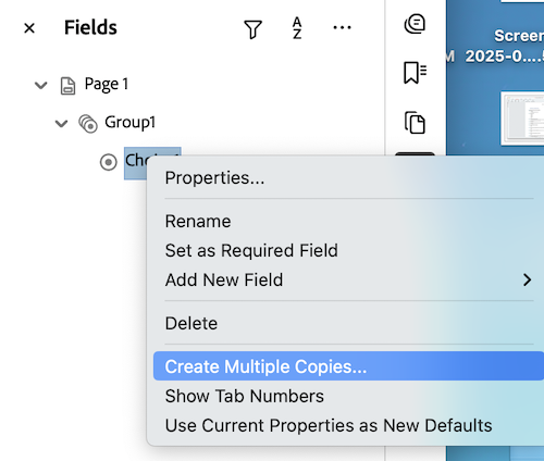 add radio button adobe 2