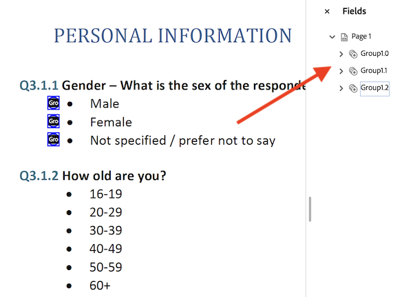 add radio button adobe 4