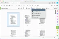 insert page pdf adobe 2