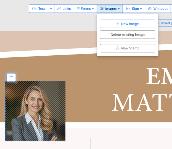 resize image pdf online 2