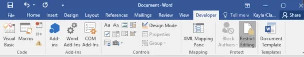 fillable pdf in word 3