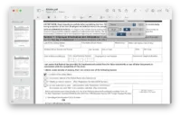 change font size fillable pdf preview 2