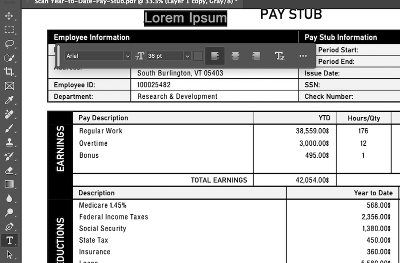 edit pay stub ps 5