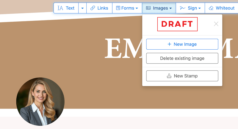remove image from pdf online 2