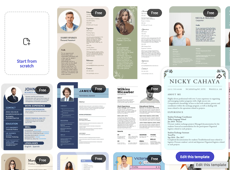 edit resume template 1