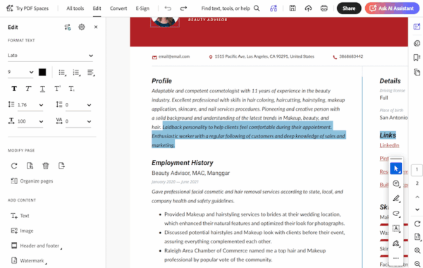 How to Edit Resume (CV) in PDF: 6 Ways - itselectable