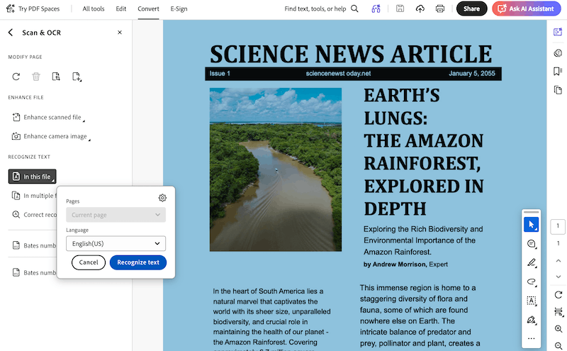 remove image from pdf adobe 4