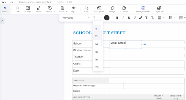 How to Change Font Size in PDF Fillable Form with 4 Ways - itselectable